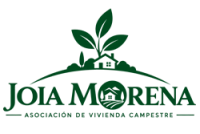 logo chico joiamorena